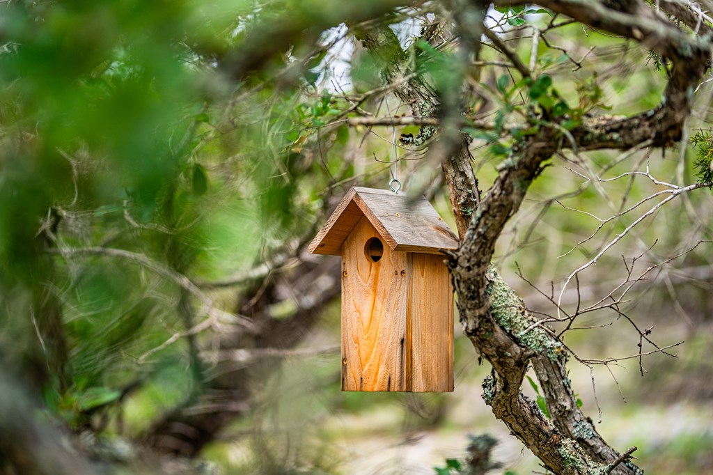 195 Countless Views Drive Kerrville, TX 78028 - Photo 12 of 13