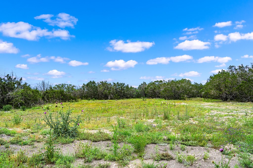 195 Countless Views Drive Kerrville, TX 78028 - Photo 6 of 13