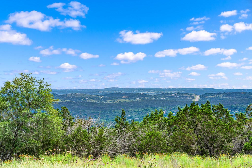 195 Countless Views Drive Kerrville, TX 78028 - Photo 8 of 13