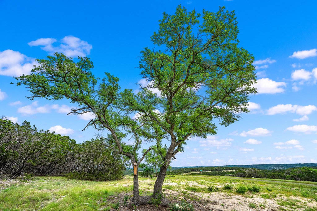 195 Countless Views Drive Kerrville, TX 78028 - Photo 9 of 13