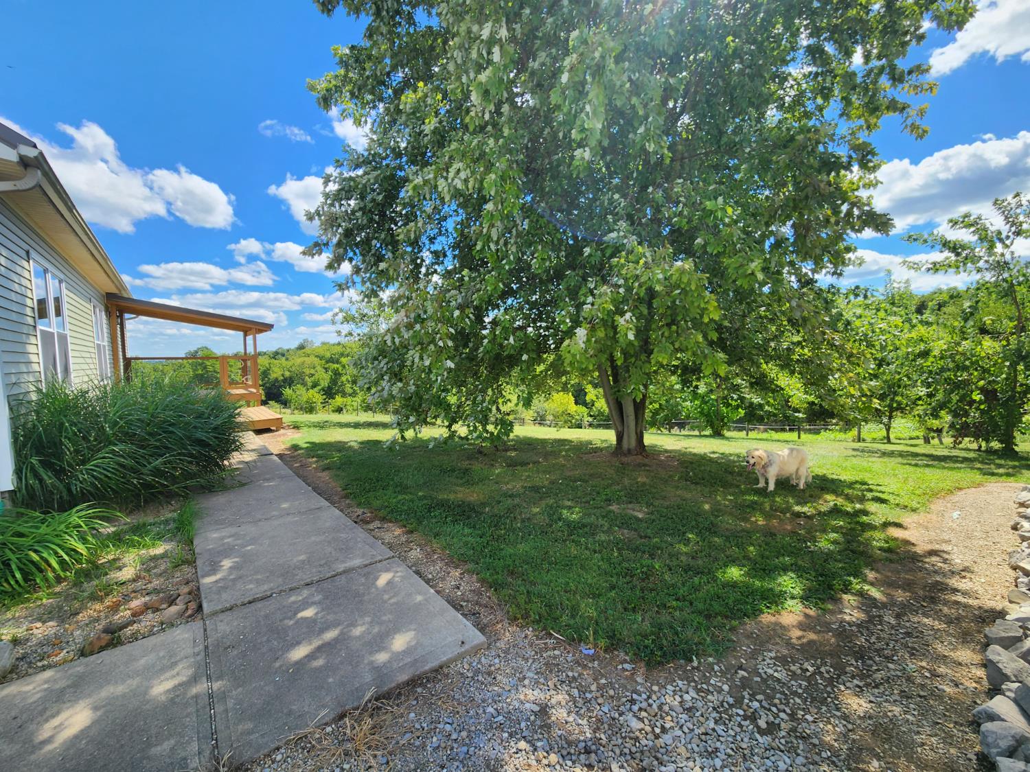 7492 Brooks Road Vevay, IN 47043 - Photo 29 of 70