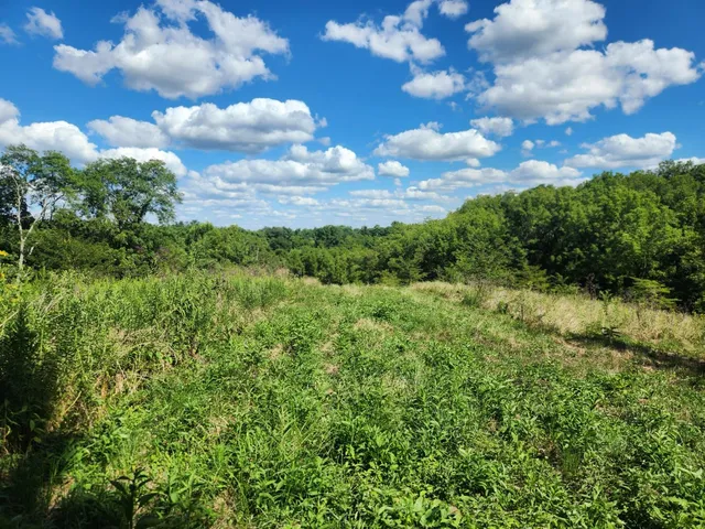 $459,900 | 7492 Brooks Road, Vevay, IN 47043