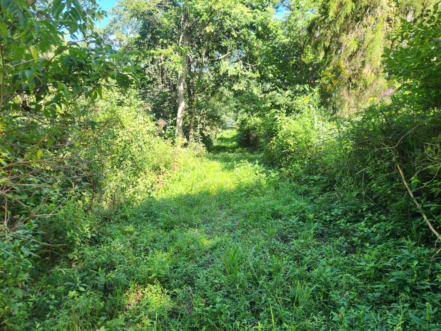 7492 Brooks Road Vevay, IN 47043 - Photo 47 of 70