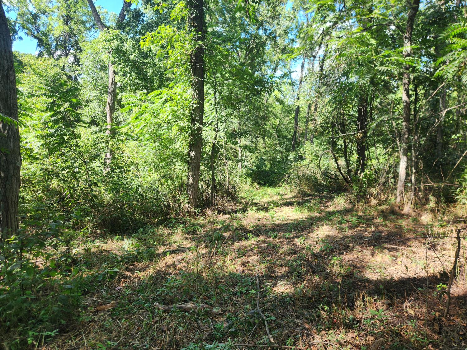 7492 Brooks Road Vevay, IN 47043 - Photo 48 of 70