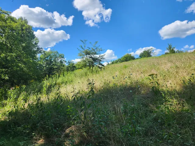 $459,900 | 7492 Brooks Road, Vevay, IN 47043