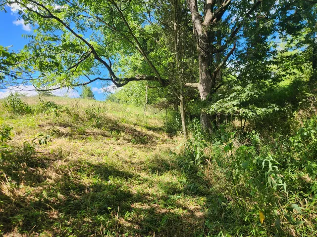 $459,900 | 7492 Brooks Road, Vevay, IN 47043