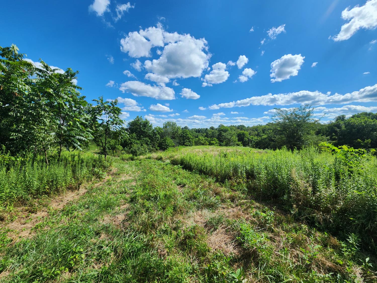 7492 Brooks Road Vevay, IN 47043 - Photo 54 of 70