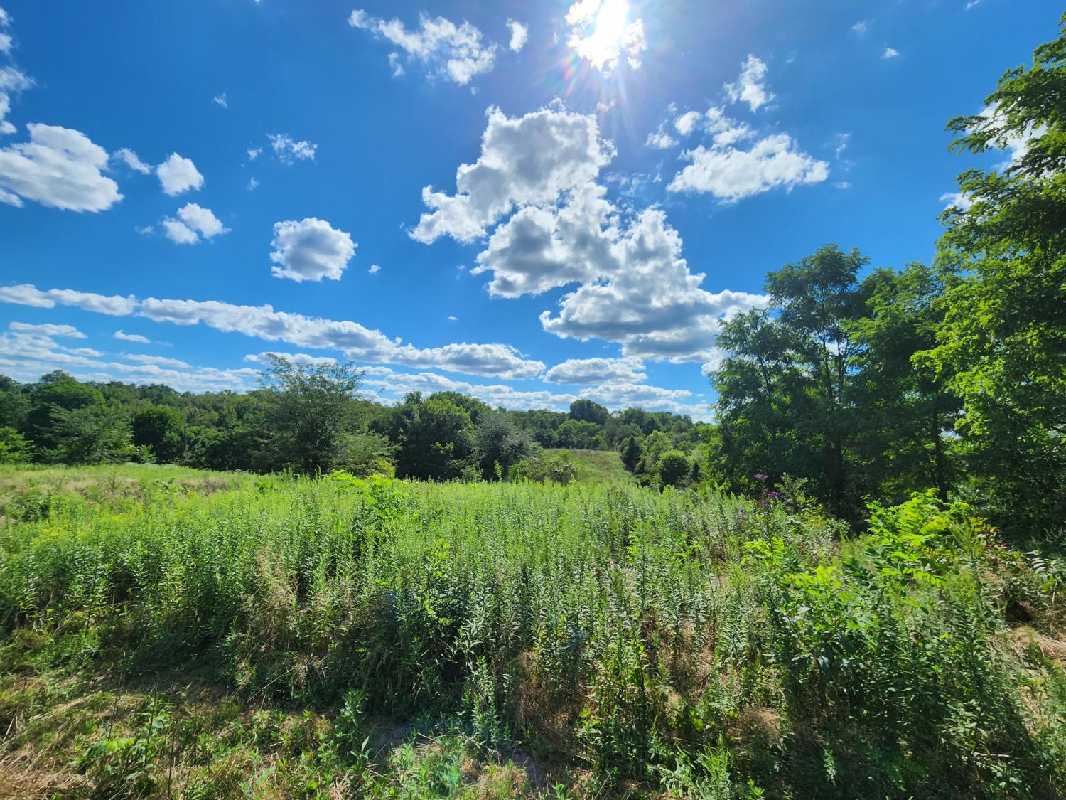 7492 Brooks Road Vevay, IN 47043 - Photo 55 of 70