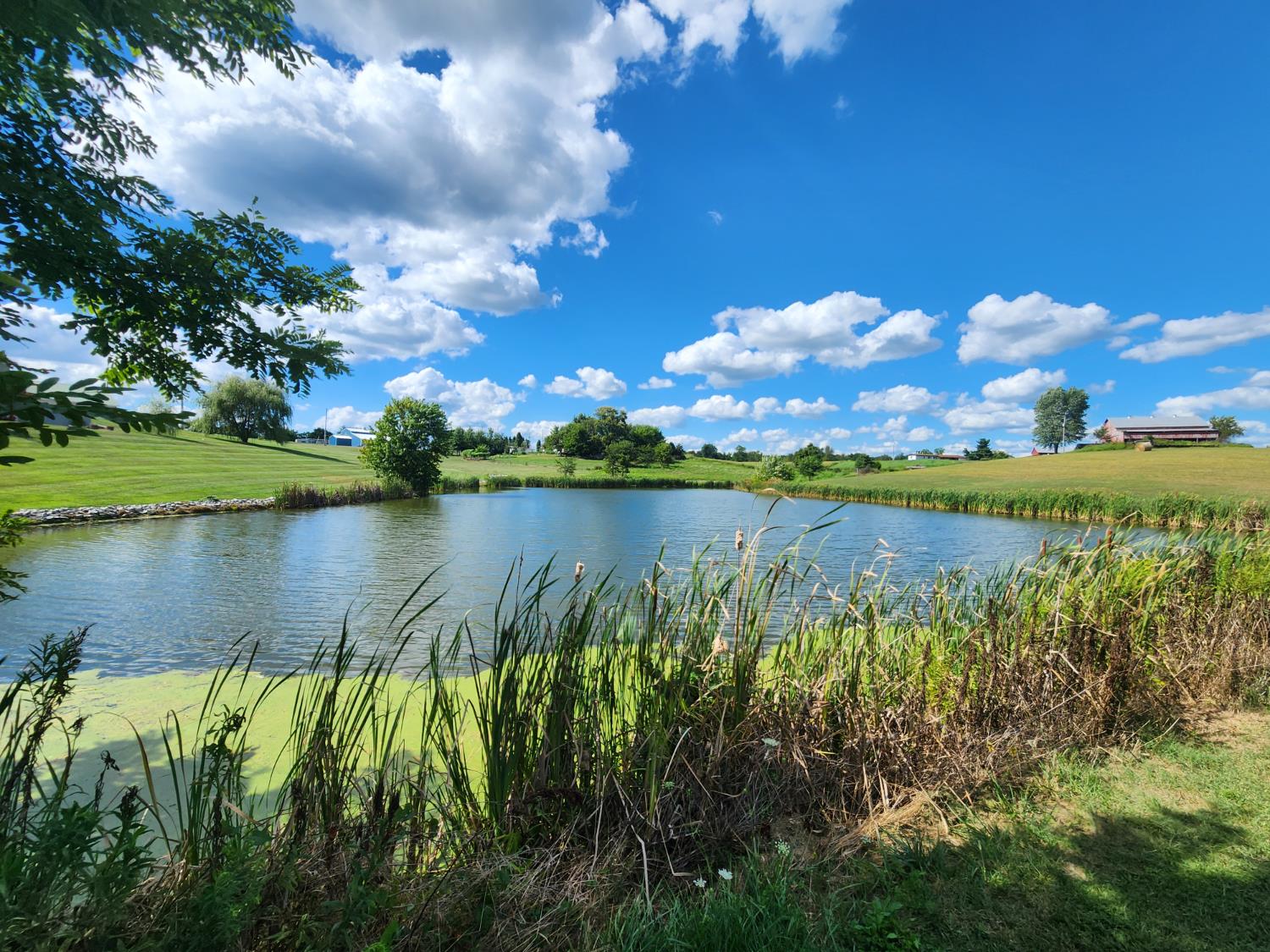 7492 Brooks Road Vevay, IN 47043 - Photo 56 of 70