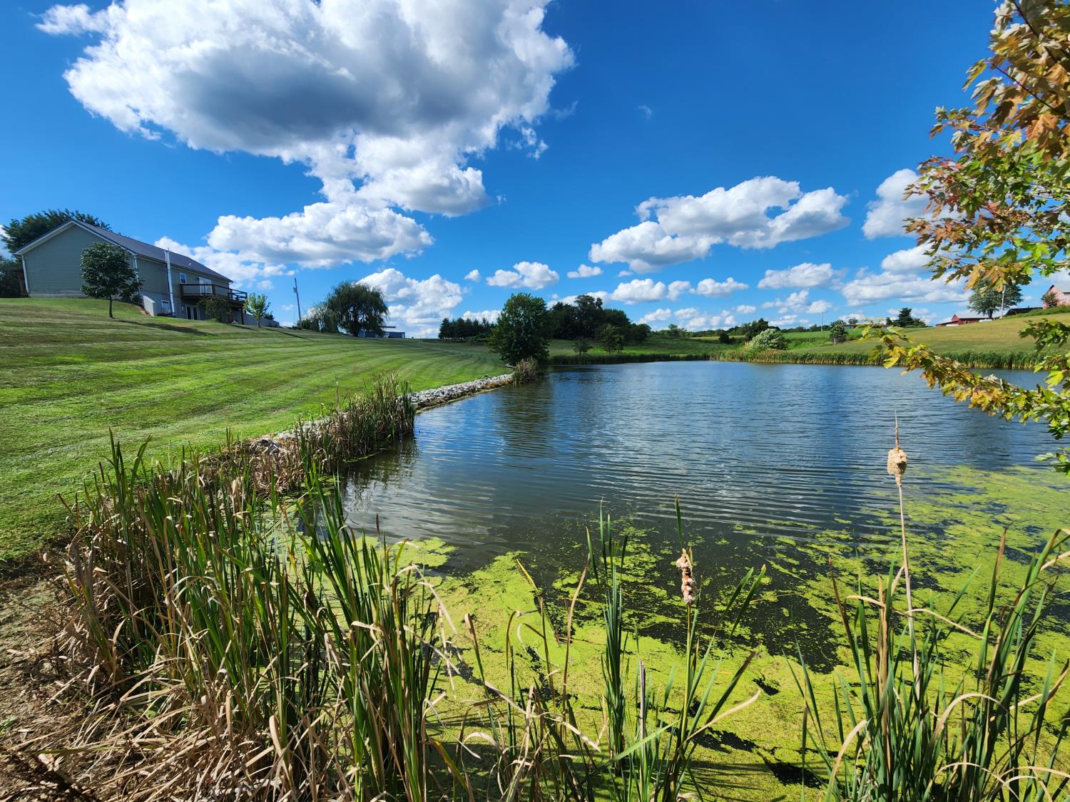 7492 Brooks Road Vevay, IN 47043 - Photo 57 of 70