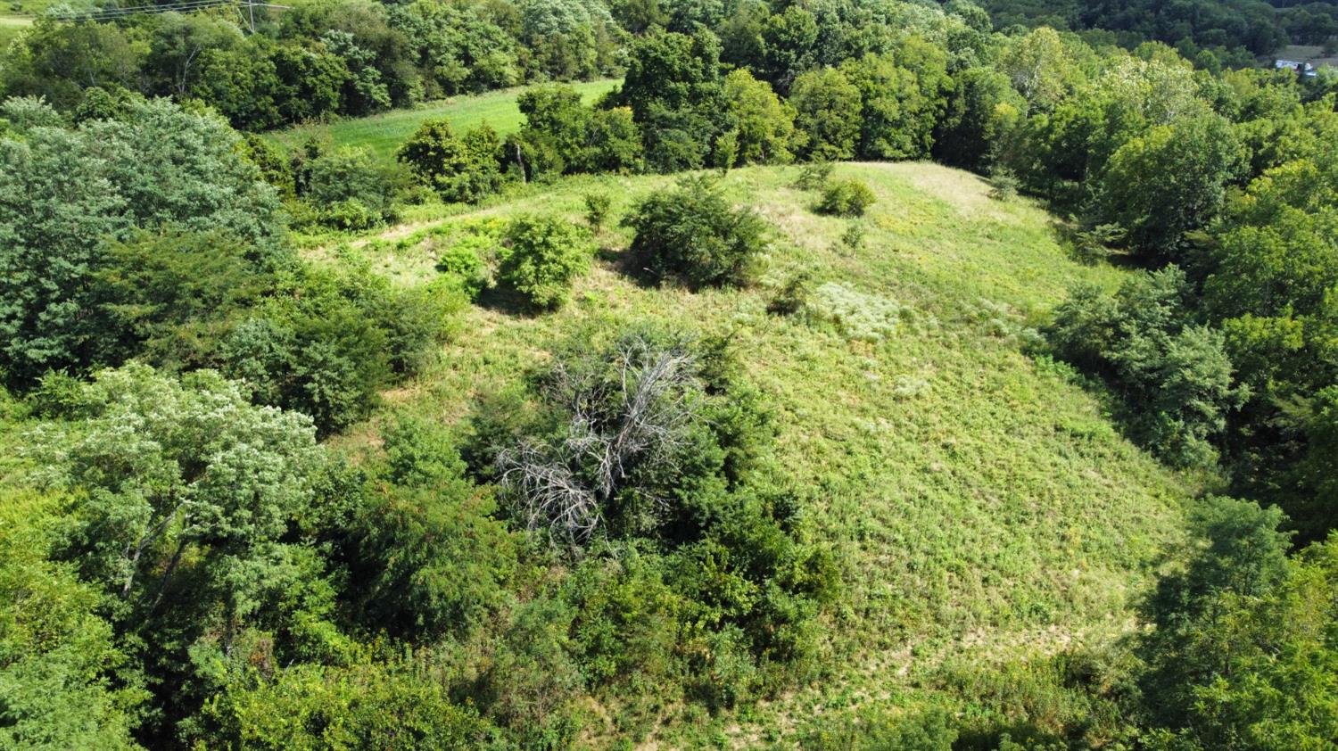 7492 Brooks Road Vevay, IN 47043 - Photo 62 of 70