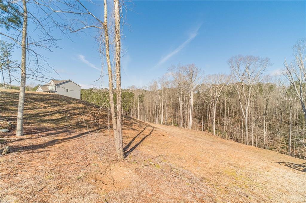 1548 Ridgewood Court Monroe, GA 30656 - Photo 50 of 63
