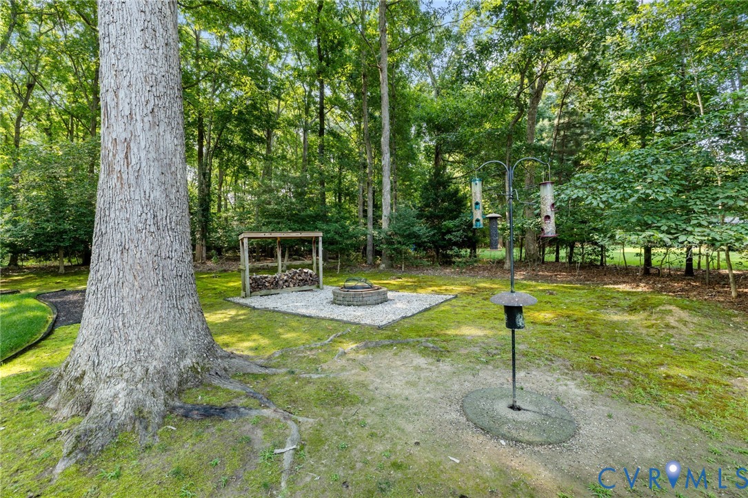 14019 Princess Mary Road Chesterfield, VA 23838 - Photo 46 of 61 Expansive backyard with mature trees, a designated