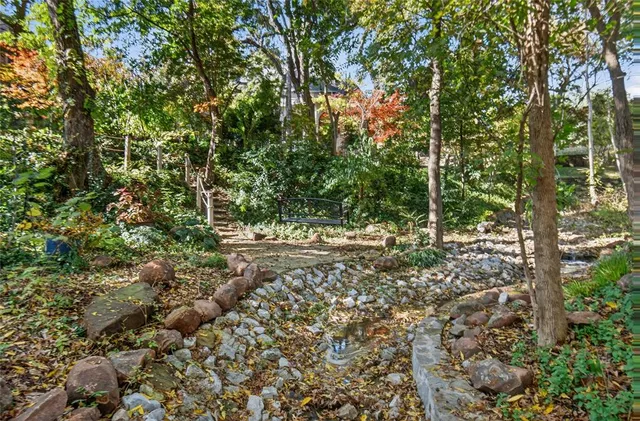 a view of a forest filled with trees
