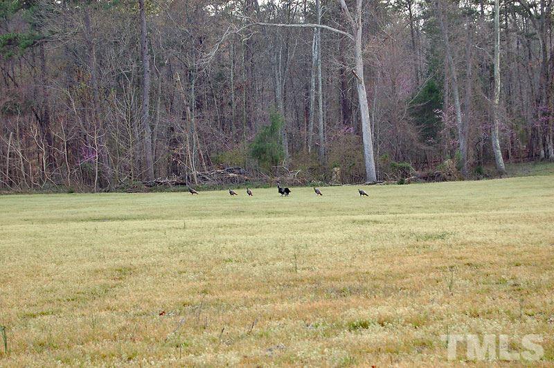 3 Huff Garrett Road Roxboro, NC 27574 - Photo 12 of 21 a view of swimming pool