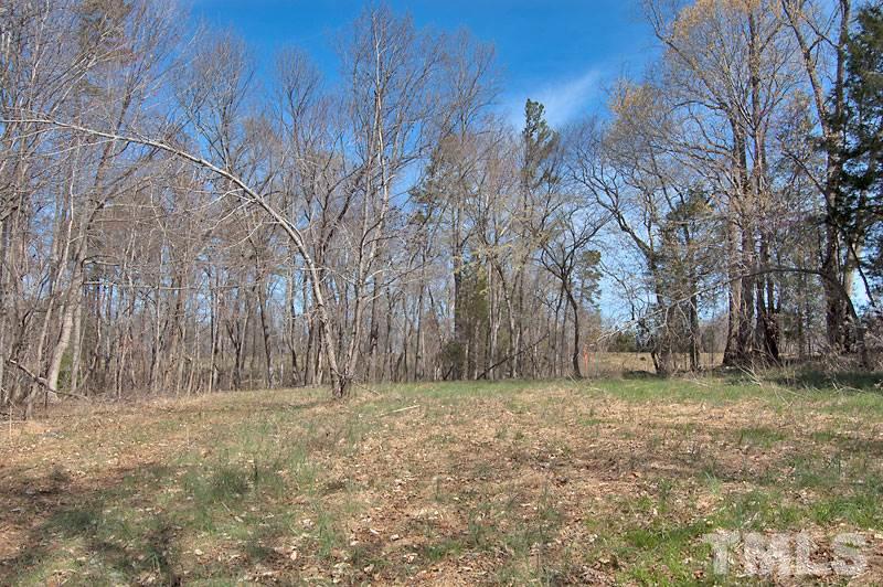 3 Huff Garrett Road Roxboro, NC 27574 - Photo 15 of 21 a fire hydrant in the middle of a field