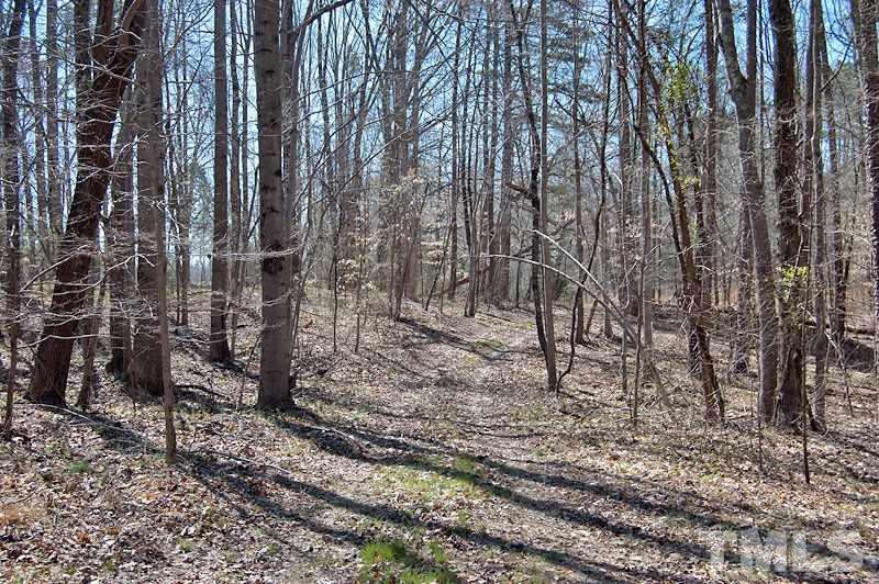 3 Huff Garrett Road Roxboro, NC 27574 - Photo 19 of 21 a backyard of a house with lots of green space