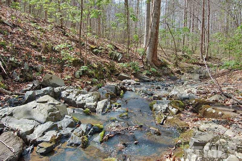 3 Huff Garrett Road Roxboro, NC 27574 - Photo 3 of 21 a view of a forest with trees