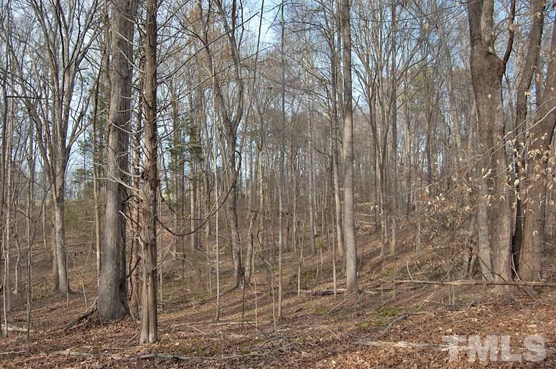 3 Huff Garrett Road Roxboro, NC 27574 - Photo 21 of 21 a view of a yard with large trees