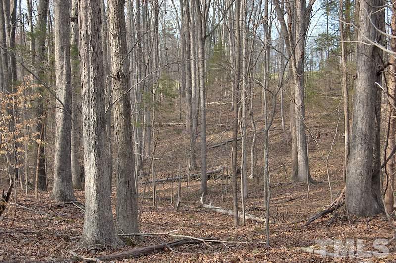 3 Huff Garrett Road Roxboro, NC 27574 - Photo 4 of 21
