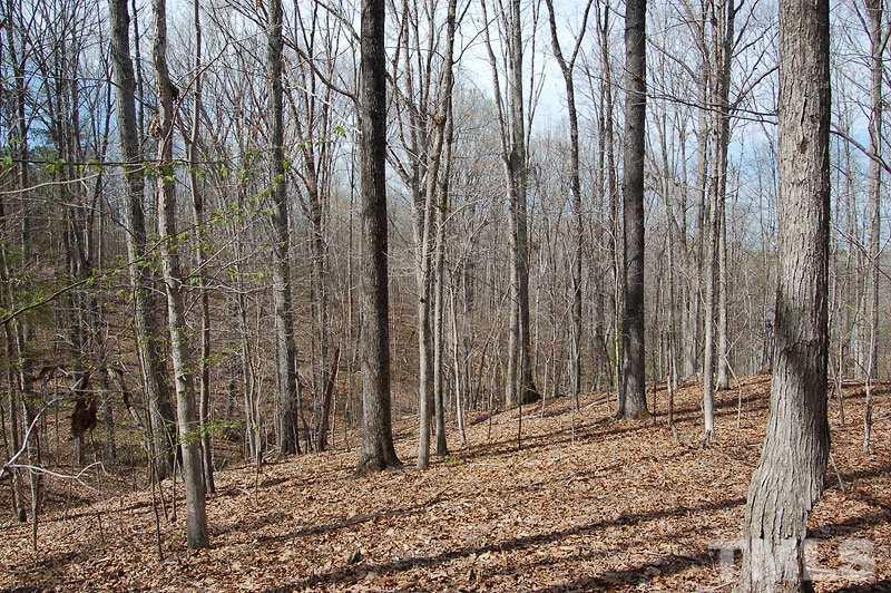 3 Huff Garrett Road Roxboro, NC 27574 - Photo 7 of 21 a view of a backyard of the house