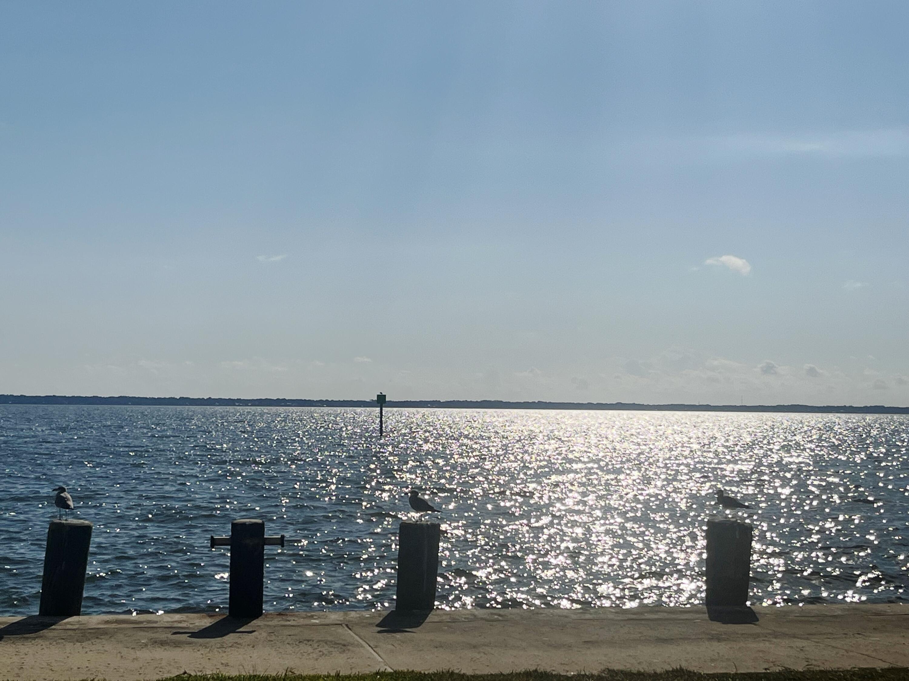 75 Hankins Road Freeport, FL 32439 - Photo 14 of 16 a view of an ocean