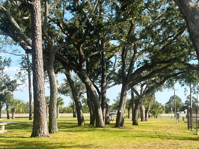 a view of yard with trees