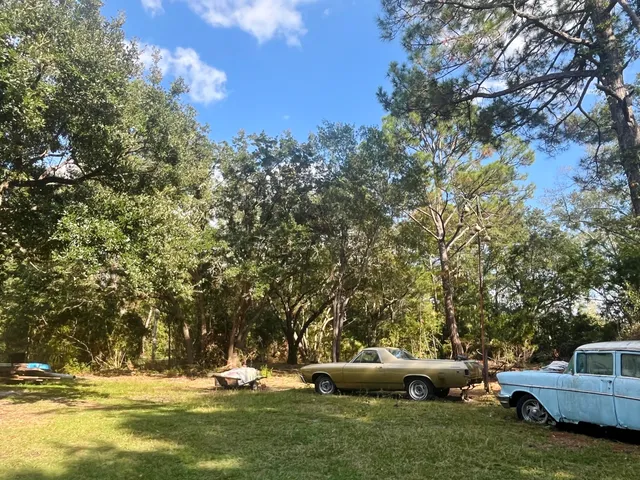 a view of a garden with lawn chairs
