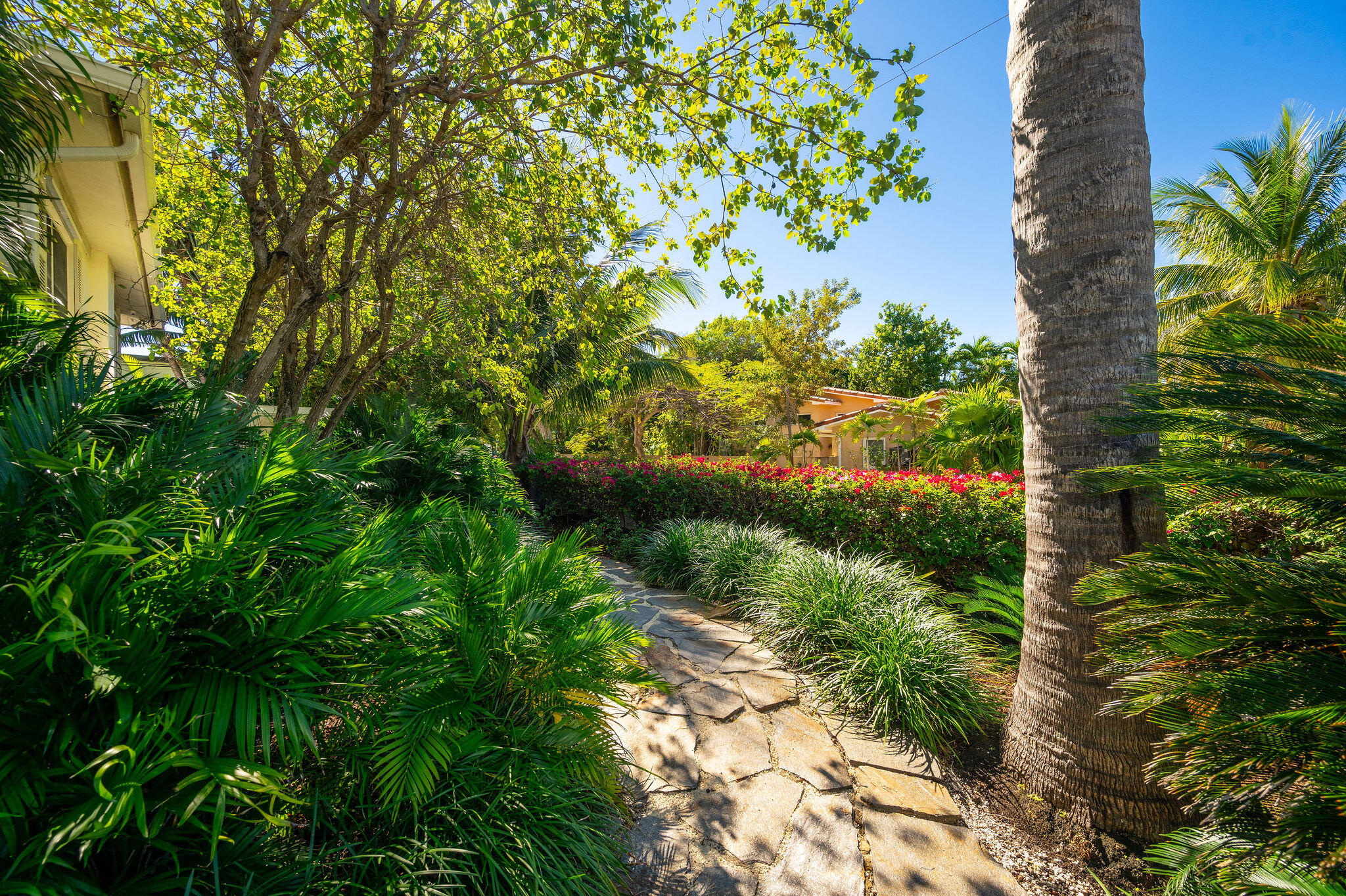 1600 Patricia Street Key West, FL 33040 - Photo 30 of 35 YARD