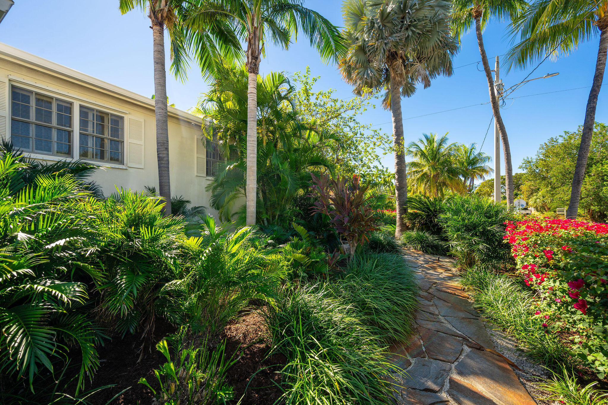 1600 Patricia Street Key West, FL 33040 - Photo 31 of 35 TROPICAL GROUNDS