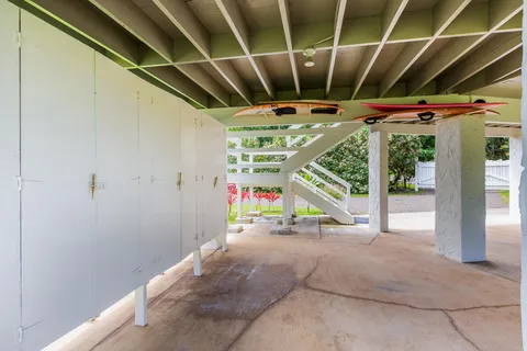 a view of a yard with potted plants and large tree