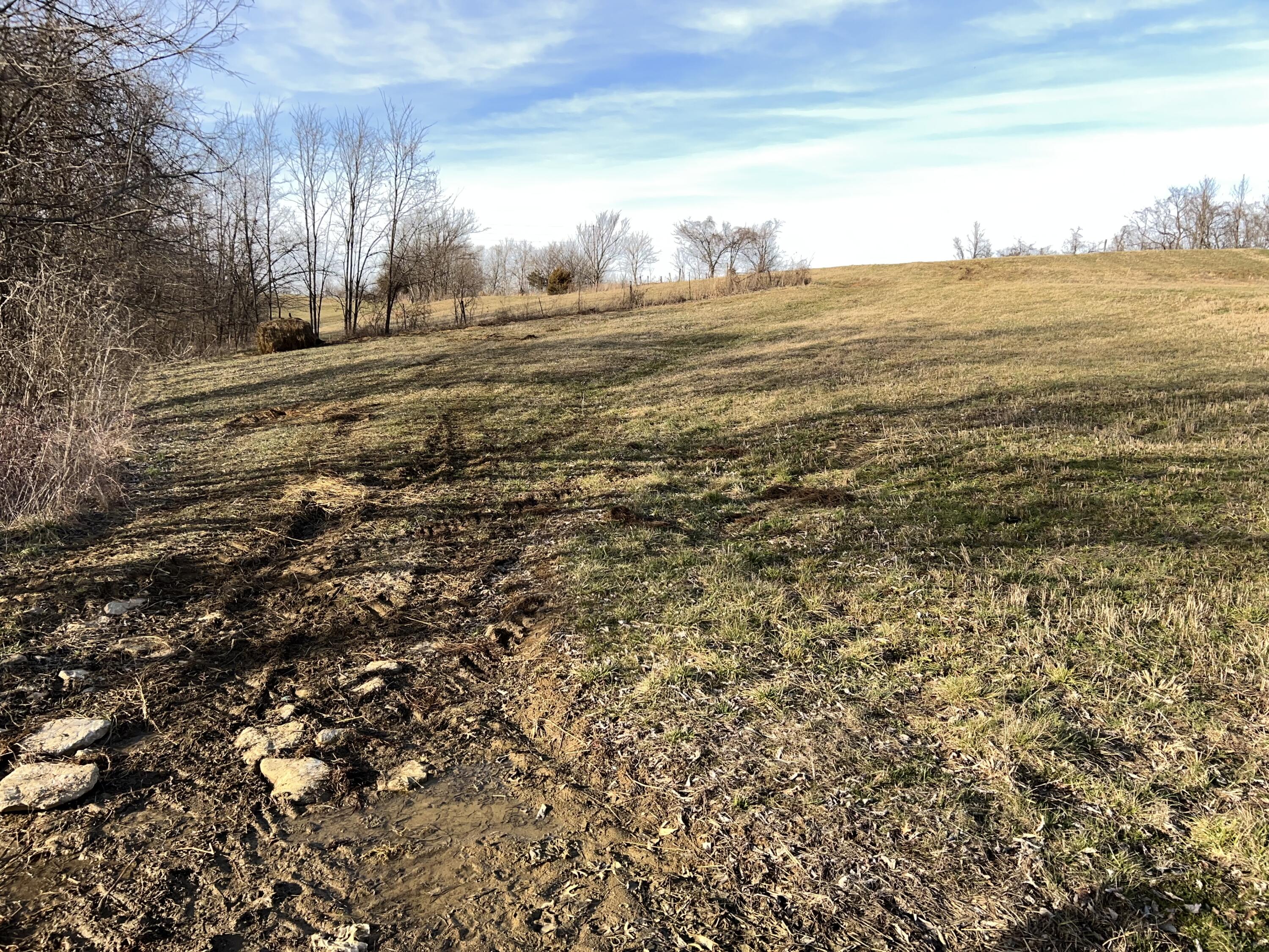0 Elizaville Road Ewing, KY 41039 - Photo 1 of 11 091C7734-3DC9-48F0-A415-A82FB9993F91