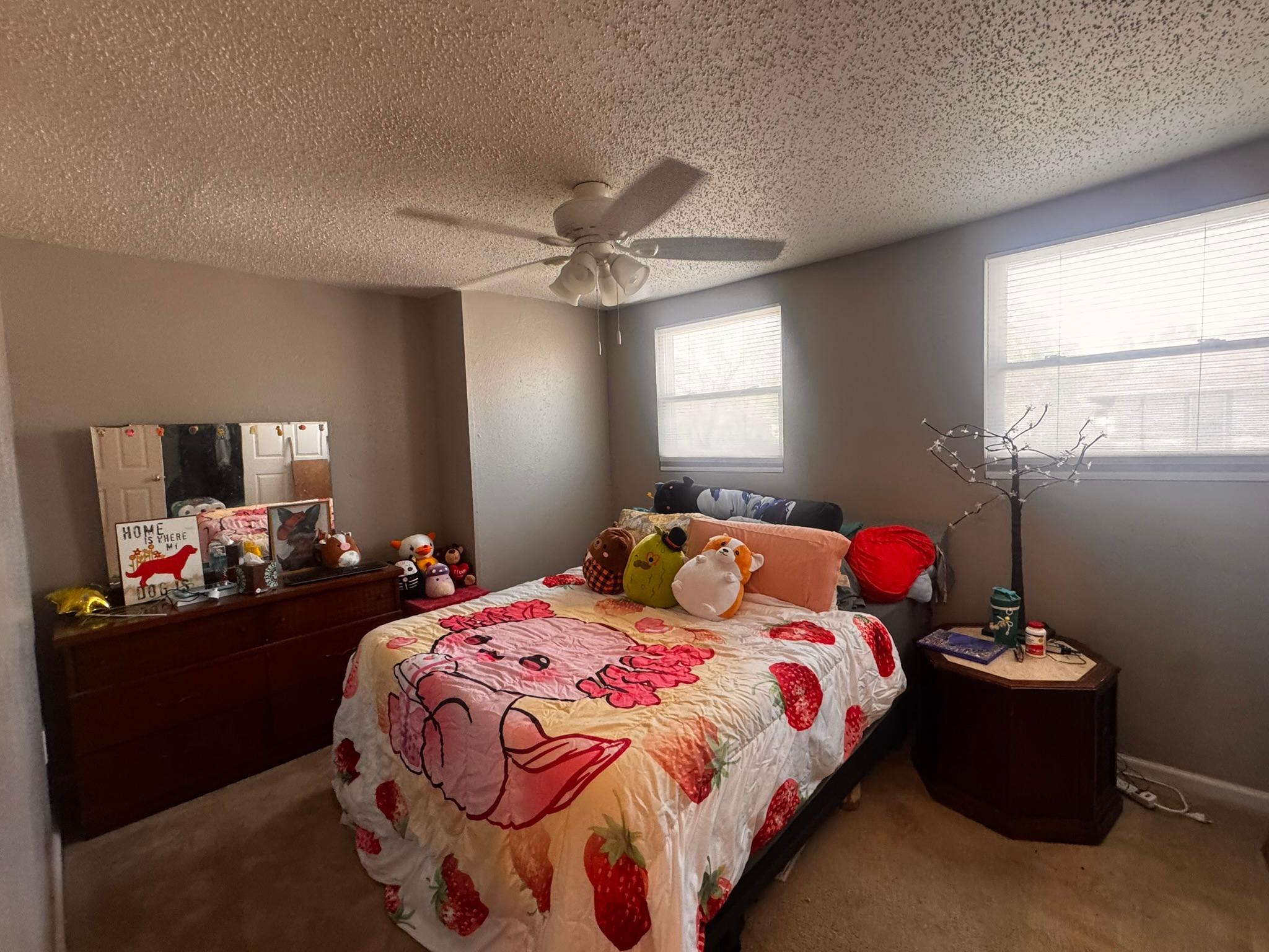 806 8th Street North, Unit 3 Fargo, ND 58102 - Photo 7 of 12
