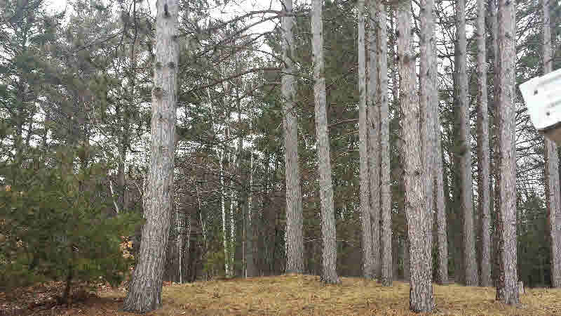 3748 Arenac State Road Standish, MI 48658 - Photo 17 of 17