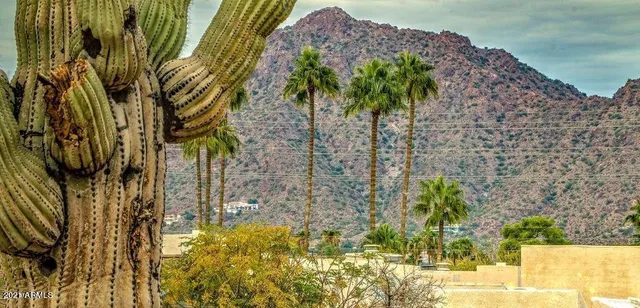 a view of a plant in a garden