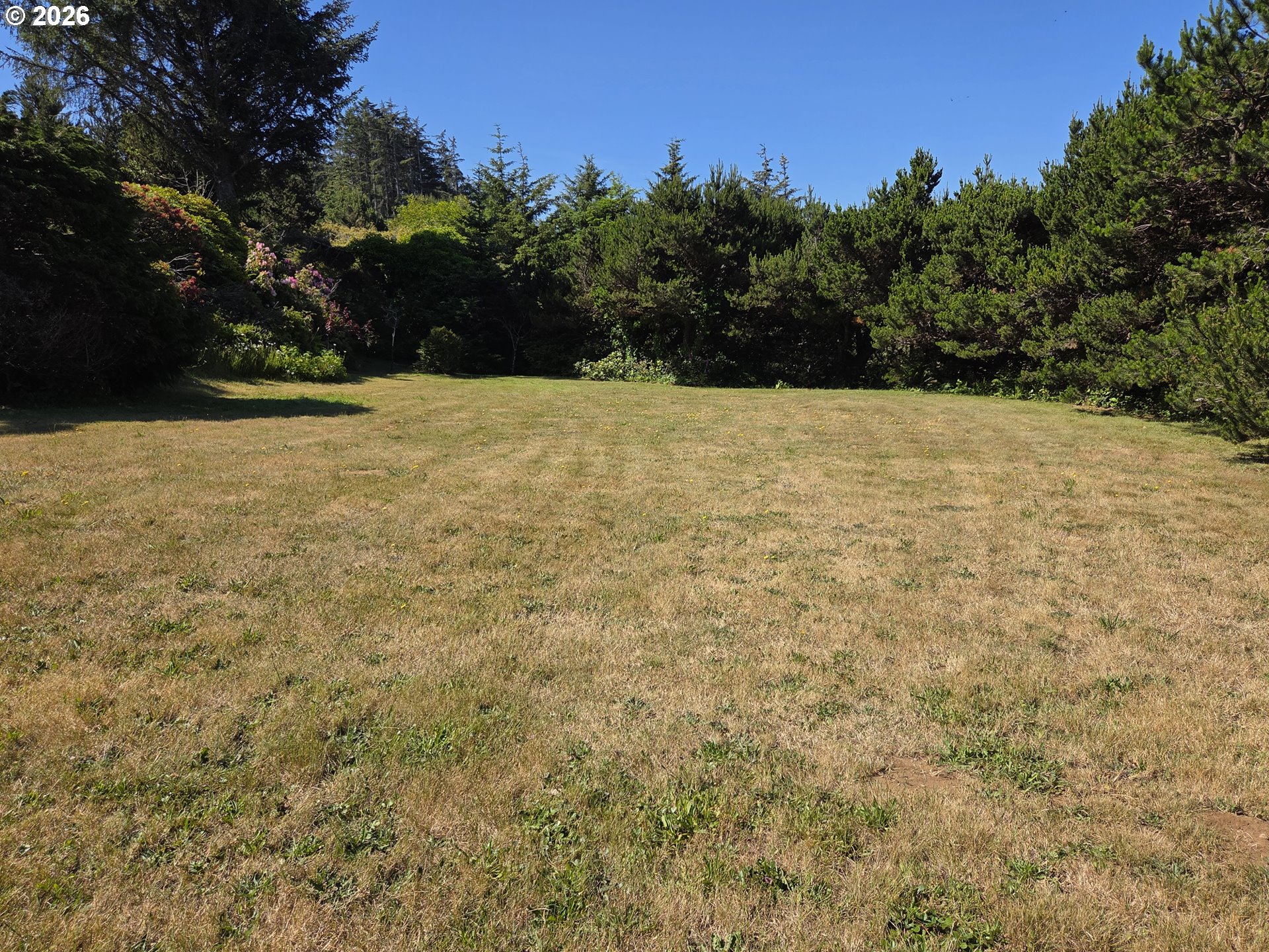 95010 Greggs Creek Road Gold Beach, OR 97444 - Photo 33 of 34 Yard