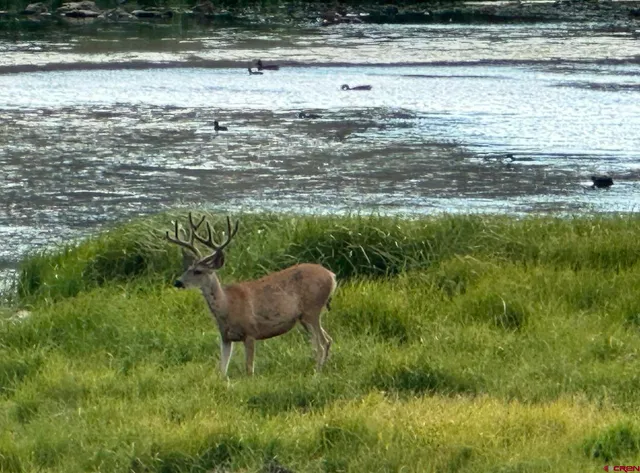 a view of a water pond