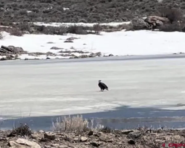 a view of ocean view