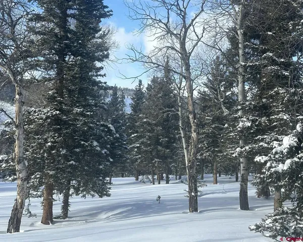 a tree in the middle of a yard