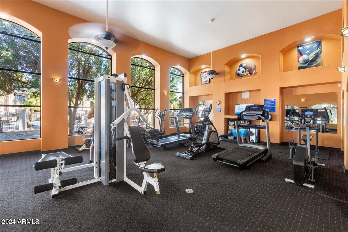 10030 West Indian School Road, Unit 128 Phoenix, AZ 85037 - Photo 12 of 16 Desert Breeze Fitness Center