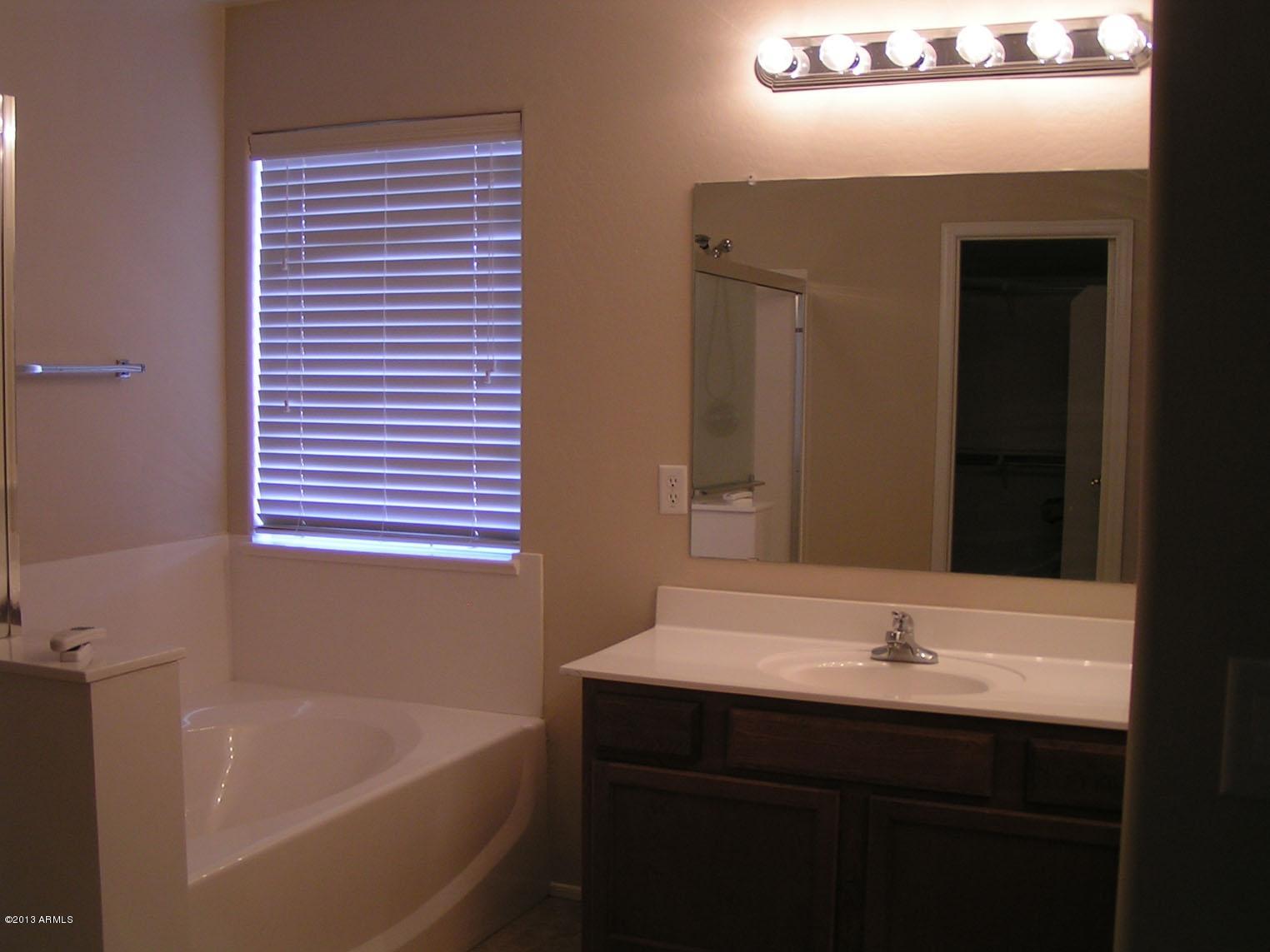 16746 West Adams Street Goodyear, AZ 85338 - Photo 16 of 28 Master Bath Tub