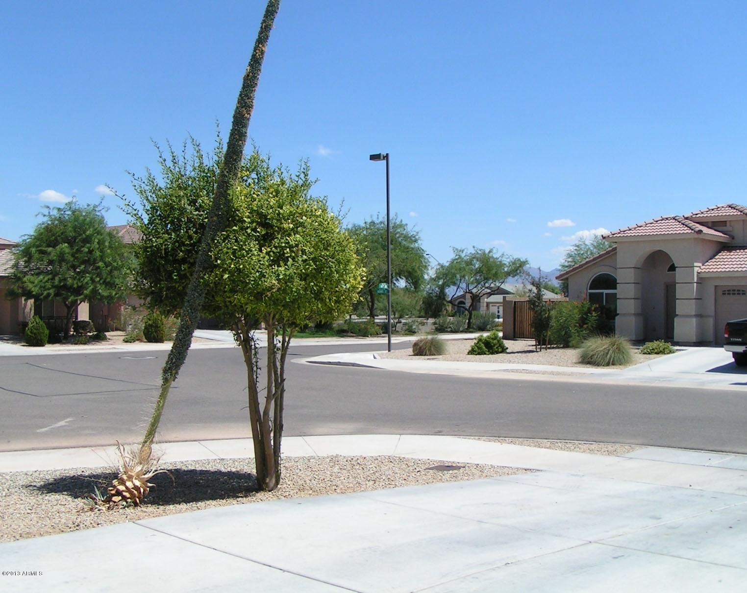 16746 West Adams Street Goodyear, AZ 85338 - Photo 28 of 28 View of Neighborhood from Front of House