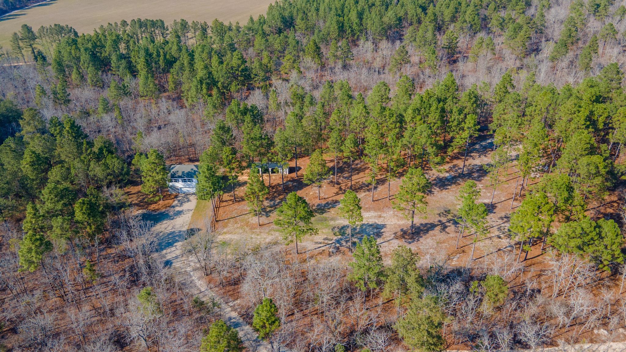 316 Cadle Crossing Road Windsor, SC 29856 - Photo 11 of 30