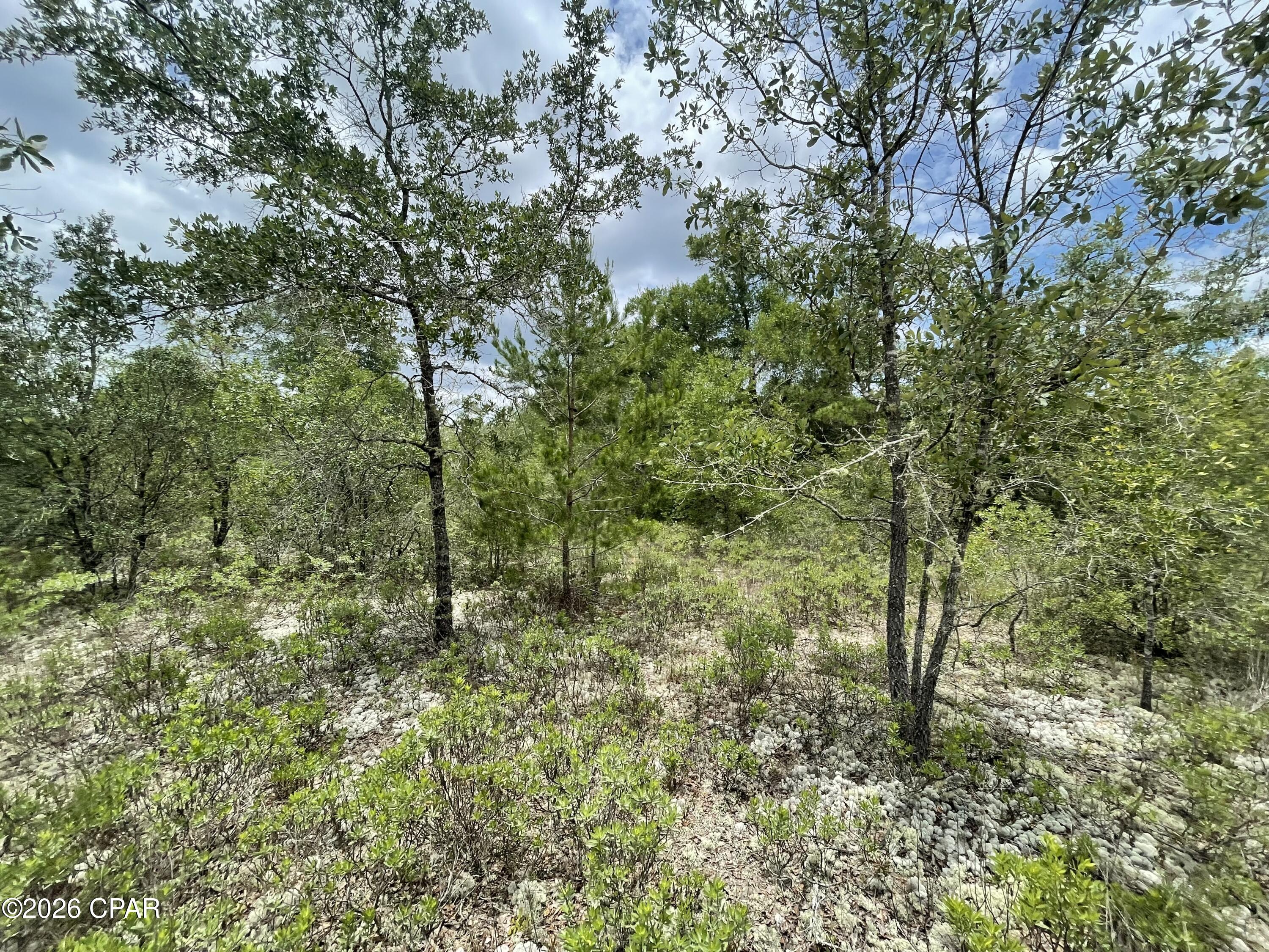 0 Ross Road Fountain, FL 32438 - Photo 8 of 13 Gallery Image 8