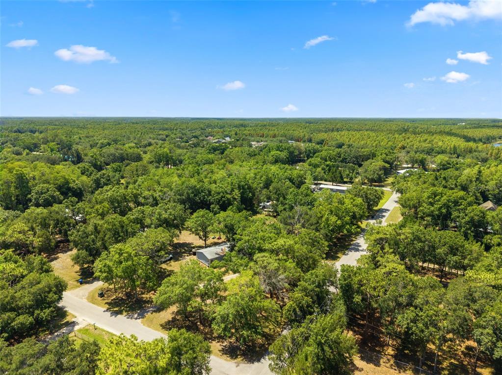17214 Chinaberry Road Lutz, FL 33558 - Photo 14 of 17