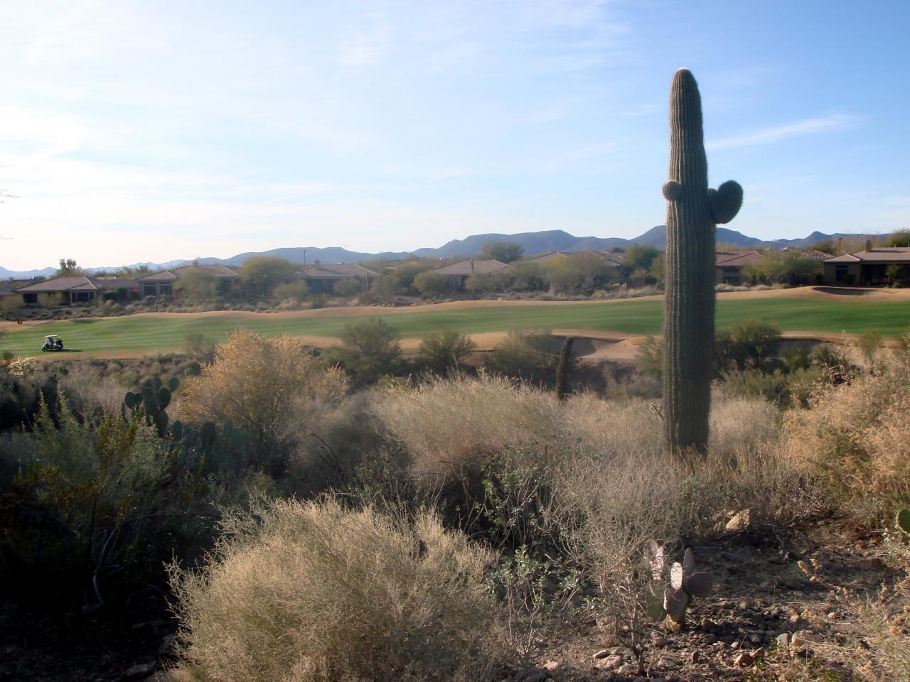 41940 North Crooked Stick Road Phoenix, AZ 85086 - Photo 1 of 10 Spectacular Views!