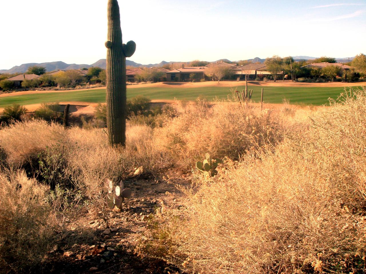 41940 North Crooked Stick Road Phoenix, AZ 85086 - Photo 8 of 10 View