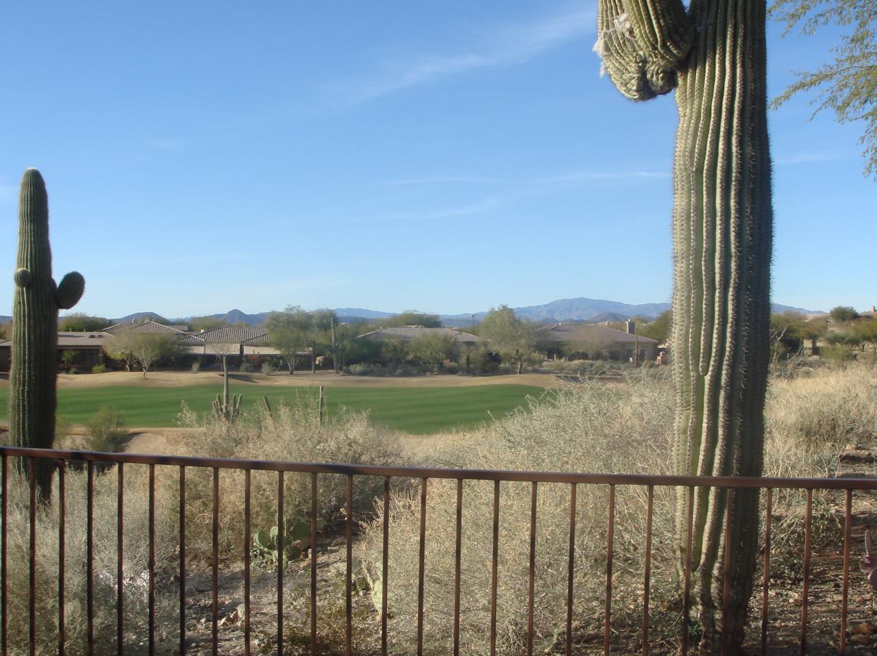41940 North Crooked Stick Road Phoenix, AZ 85086 - Photo 9 of 10 view fence