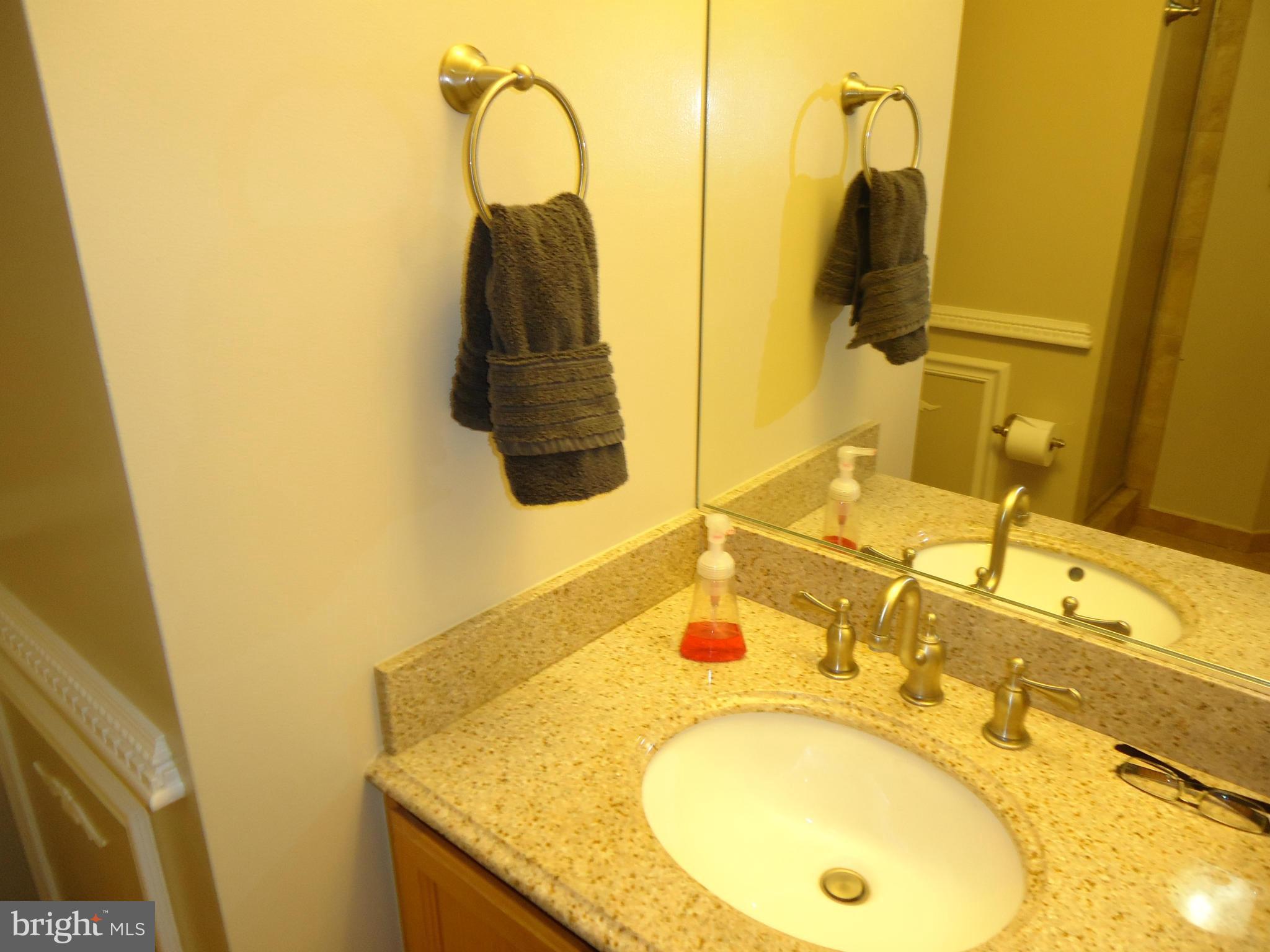 10109 Ridge Manor Terrace, Unit 4000K Damascus, MD 20872 - Photo 21 of 23 Bath