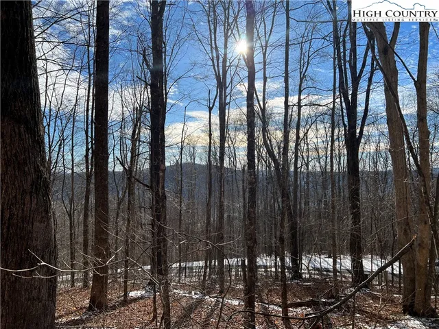 $50,000 | Lot 60 Elk Creek Mountain Parkway, Todd, NC 28684